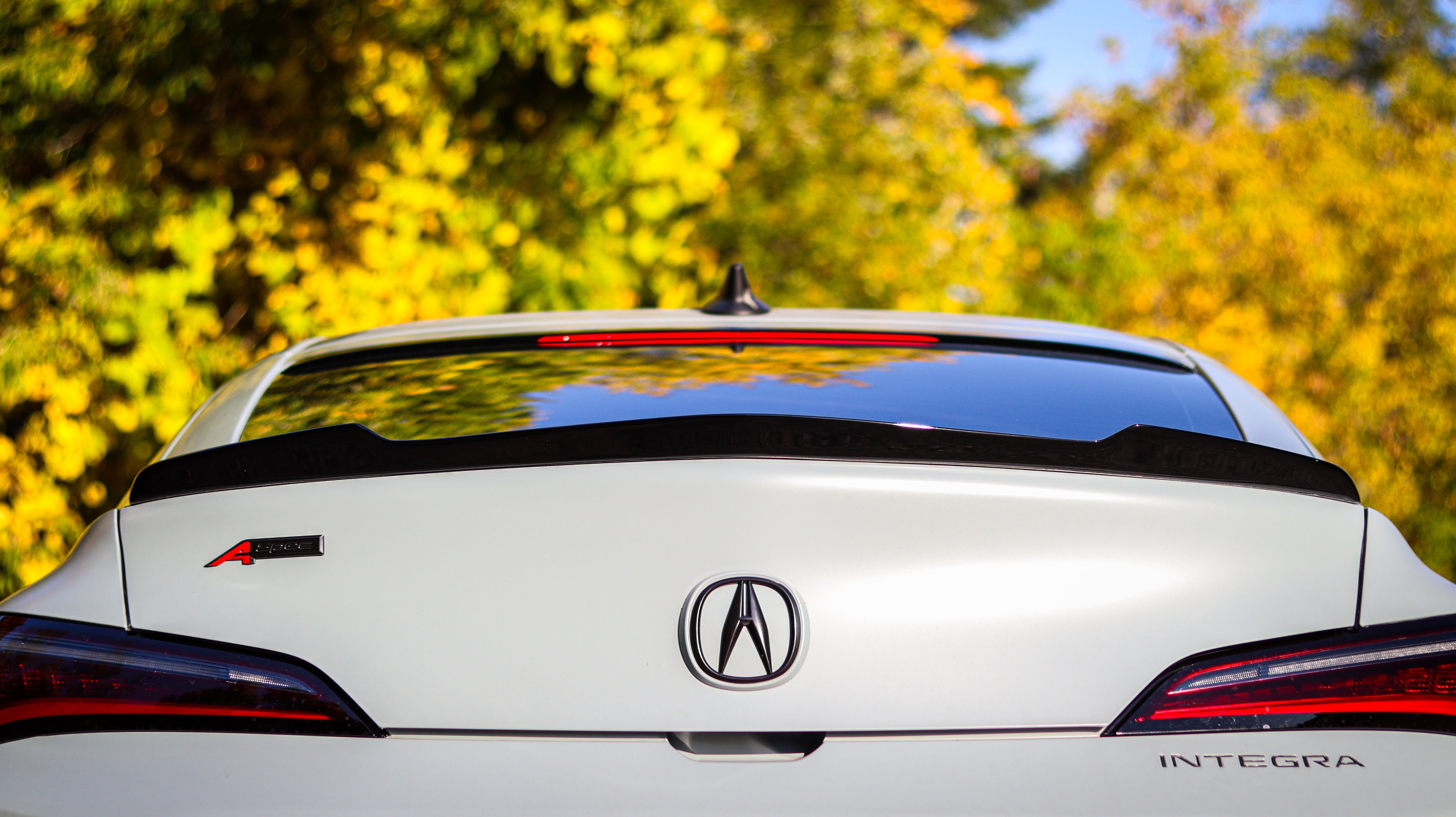 Spoiler - Acura Integra 2023-2026